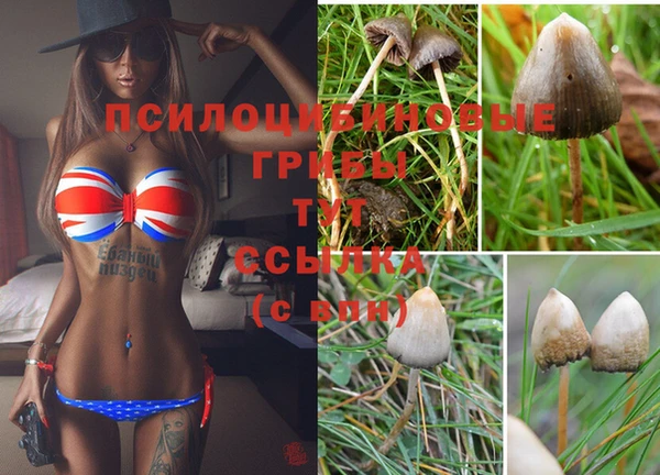 бутират Гусев